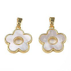 Кремово-белый Природные подвески оболочки, с настоящими 18 к золотыми медными выводами, без никеля , цветок, кремово-белые, 17x15x2 мм, отверстие : 2.5x4 мм