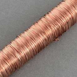 Легкий Лосось Круглая железная проволока, светлый померанцевый, 24 датчик, 0.5 мм, около 164.04 футов (50 м) / рулон, 10 рулонов / набор