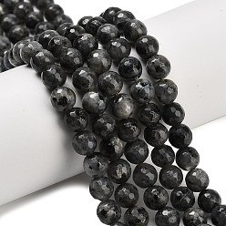 Larvikite Натуральные нити бус из ларвикита, граненые, круглые, 8 мм, отверстие : 1 мм, около 47~48 шт / нитка, 15.16'' (38.5 см)