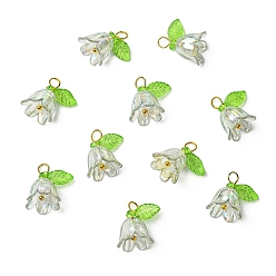 Серый Прозрачные акриловые подвески, с латунной фурнитурой , цветок, серые, 15 мм, отверстие : 3 мм