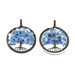 Aquamarine Natural Aquamarine Pendants, with Acrylic and Brass Findings, Flat Round with Tree of Life, 59x47~47.5x9.5~10mm, Hole: 4mm