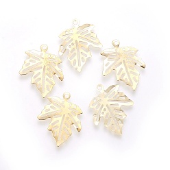 Oro Colgantes de filigrana de hierro con tema de otoño, hoja de arce, dorado, 22x18x0.5 mm, agujero: 1.5 mm