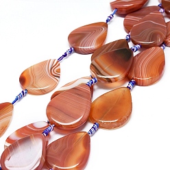 Шоколадный Натуральный полосатый агат / полосатые агатовые бусы, окрашенная и подогревом, слеза, цвет шоколада, 38~40x27~30x5~7 мм, отверстие : 1.8 мм, около 8 шт / нитка, 15.94 дюйм (40.5 см)