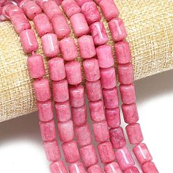 Камелия Натуральный Malaysia нефритовые бусы пряди, окрашенная и подогревом, колонка, камелия, 11.5~12x7.5~8.5 мм, отверстие : 1~1.2 мм, около 31~32 шт / нитка, 15.16'' (38.5 см)