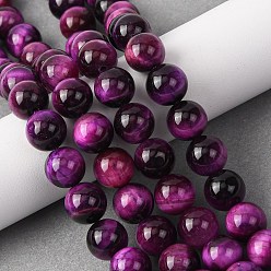 Индиго Природных тигровый глаз бисер нитей, окрашенные, круглые, индиговые, 10 мм, отверстие : 1 мм, около 37~40 шт / нитка, 14.9~15.1 дюйм (38~38.5 см)