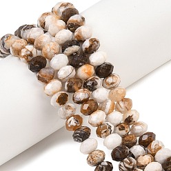 Деревянное Окаменение Природные окаменелое дерево бисер пряди, рондель, граненые, 8~8.5x5~6 мм, отверстие : 1 мм, около 68~76 шт / нитка, 14.96~15.35'' (38~39 см)