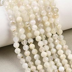 White Moonstone Натуральный белый лунный камень бисер пряди, круглые, граненые, 5.5 мм, отверстие : 0.8 мм, около 72 шт / нитка, 15.35'' (39 см)