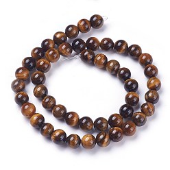 Dark Goldenrod Round Tiger Eye Beads Strands, Grade AB+, Dark Goldenrod, 8mm, Hole: 1mm, about 48pcs/strand