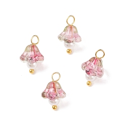 Ярко-Розовый Гальванические стеклянные подвески, с позолоченной латунной фурнитурой и круглыми бусинами из стеклянного жемчуга, труба цветок, ярко-розовый, 14x9x9 мм, отверстие : 2.5 мм