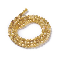 Светло-хаки Природных тигровый глаз бисер нитей, круглые, окрашенная и подогревом, светлый хаки, 4 мм, отверстие : 0.8 мм, около 108~110 шт / нитка, 15.3 дюйм ~ 15.75 дюйм (39~40 см)