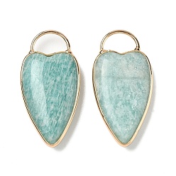 Амазонит Природные подвески амазонит, подвески в форме сердца с латунной оправой, золотые, 35x17x6 мм, отверстие : 6x9 мм