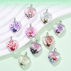 (52) Непрозрачная лаванда 10 шт. Прозрачные стеклянные подвески, с сушеным цветком и бабочкой внутри, сердце, разноцветные, 27x20.5x10.5 мм, отверстие : 4.5x2.5 мм