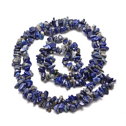 Lapis Lazuli Natural Lapis Lazuli Chip Bead Strands, 5~8x5~8mm, Hole: 1mm, about 31.5 inch