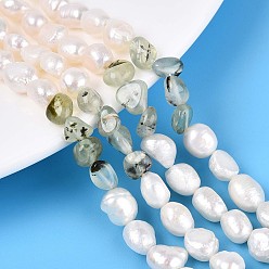 Пренит Натуральные самородки пренита и нити бусин из натурального культивированного пресноводного жемчуга, 5.5~12x4.5~9x3.5~9 мм, отверстие : 0.8 мм, Жемчужина: 6~13x6~9x3.5~7.5 мм, отверстие : 0.6 мм, около 19~21 шт / нитка, 6.30~6.69 дюйм (16~17 см)