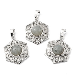 Лабрадорита Природные подвески лабрадорита, с реечной обшивкой латунными выводами, без кадмия и без свинца, , 29.5x22.5x7.5~8.5 мм, отверстие : 7.5x5 мм