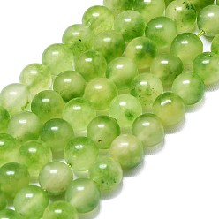 Желто-Зеленый Натуральный Malaysia нефритовые бусы пряди, окрашенная и подогревом, круглые, желто-зеленый, 8~8.5 мм, отверстие : 1.2 мм, около 48 шт / нитка, 14.96 дюйм (38 см)