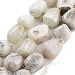 Полосатый Агат Натуральные полосатые агатовые / полосатые агатовые бусинки, самородки, упавший камень, 16~21x14~18x9.5~14 мм, отверстие : 0.8 мм, около 22~23 шт / нитка, 15.75''~16.14'' (40~41 см)