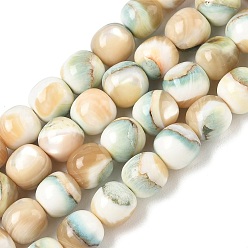 Floral White Natural Seashell Shell Beads Strands, Dyed, Smooth Round, Floral White, 7.5~8mm, Hole: 0.8mm, about 48pcs/strand, 14.57''(37cm)