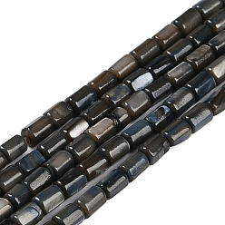 Черный Естественных пресноводных оболочки бисер нитей, окрашенные, колонка, чёрные, 4.5~5x3~3.5 мм, отверстие : 0.6 мм, около 77~79 шт / нитка, 14.76~14.96'' (37.5~38 см)