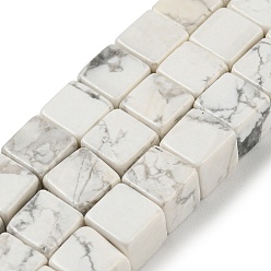 Говлит Природные Говлит бисер нитей, кубические, 6~6.5x6~6.5x6~6.5 мм, отверстие : 1.2 мм, около 63~64 шт / нитка, 15''~15.16'' (38.1~38.5 см)