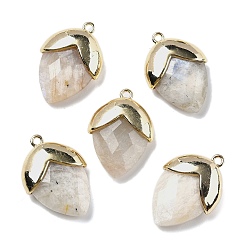 Лунный Камень Естественно лунный подвески, с золотой латуни нахождения, подвески в форме клубники, граненые, 25x17.5x7 мм, отверстие : 1.6 мм