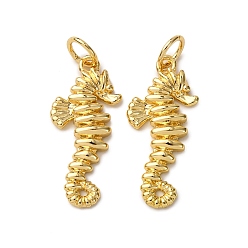 Sea Horse Латунные подвески, с целью перехода в кольце, стойки покрытие, долговечный, без свинца и без кадмия, реальный 18 k позолоченный, морской конек, 21x9x2 мм, отверстие : 3.5 мм