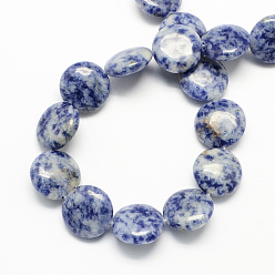 Blue Spot Jasper Natural Blue Spot Jasper Beads Strands, Flat Round, 12x5mm, Hole: 1mm, about 33pcs/strand, 15.7 inch