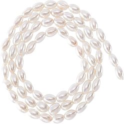Seashell Color 1 Strand Electroplate Natural Freshwater Shell Beads Strands, Rice, Seashell Color, 5.5x3.5mm, Hole: 0.8mm, about 72~75pcs/strand, 15.16 inch~15.55 inch(38.5cm~39.5cm)