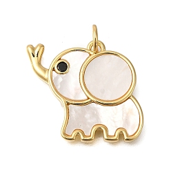 Настоящее золото 18K Стойки с латунным покрытием, подвески из натуральных ракушек, подвески в виде слона с черными кубическими цирконами, долговечный, без свинца и без кадмия, реальный 18 k позолоченный, 17.5x18x2 мм, отверстие : 3 мм