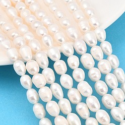 Бежевый Нити из натурального культивированного пресноводного жемчуга, рис, класс 3, бежевые, 6~7 мм, отверстие : 0.6 мм, около 36~42 шт / нитка, 13.74'' (34.9 см) ~ 14.13'' (35.9 см)