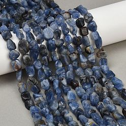Кианит Натуральный кианитовые бисер пряди, самородки, 5~14x7~10x4~8 мм, отверстие : 1 мм, около 43~45 шт / нитка, 15.47~15.75'' (39.3~40 см)