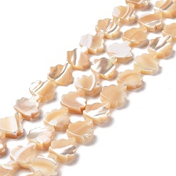 PeachPuff Natural Trochid Shell Beads Strands, Tree, PeachPuff, 11x10.5x3~3.5mm, Hole: 0.6mm, about 36~37pcs/strand, 15.75~15.94 inch(40~40.5cm)