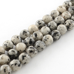 Gainsboro Dyed Natural Sesame Jasper Round Beads Strands, Gainsboro, 8mm, Hole: 1mm, about 48pcs/strand, 14.9 inch