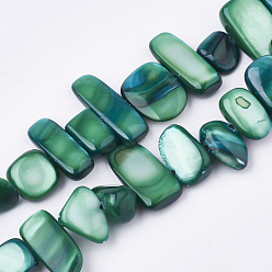 Темно-Зеленый Пресноводных оболочки бисер нитей, окрашенные, самородки, темно-зеленый, 6~25x4~14x3~7 мм, отверстие : 1 мм, около 96~100 шт / нитка, 31.4 дюйм