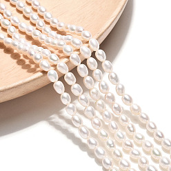 Кремово-белый Нити из натурального культивированного пресноводного жемчуга, рис, оценка 4ab, кремово-белые, 4.5~6.5x3.5~4 мм, отверстие : 0.5 мм, около 77~79 шт / нитка, 15.35 дюйм (39 см)