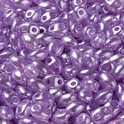 Purple Opaque ABS Beads, Double Hole, Oval, Purple, 6x4.5x3.3mm, Hole: 1.2mm, about 14516pcs/500g