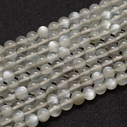 Gray Natural Grey Moonstone Beads Strands, Grade AA, Round, Gray, 6mm, Hole: 0.8mm, about 68pcs/strand