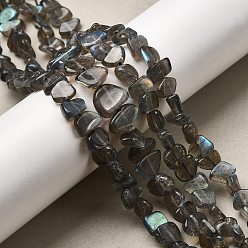 Лабрадорита Природные лабрадорита бисер нитей, самородки, 6~10x7~11x3~5 мм, отверстие : 0.5 мм, около 48~56 шт / нитка, 16.14'' (41 см)