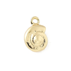 Настоящее золото 14K Латунные подвески, подвески в форме раковины, реальный 14 k позолоченный, 9.5x6x3.5 мм, отверстие : 1 мм