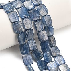 Кианит Натуральный кианитовые бисер пряди, прямоугольные, 12~12.5x10x3~3.5 мм, отверстие : 0.6 мм, около 34 шт / нитка, 16.34'' (41.5 см)