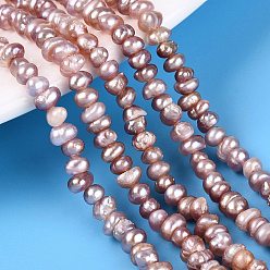 Plum Natural Cultured Freshwater Pearl Beads Strand, Flat Round, Plum, 3~6.5x3~6.5x1.5~4mm, Hole: 0.6mm, about 126~134pcs/strand, 13.58~13.98 inch(34.5~35.5cm)