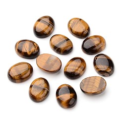 Тигровый глаз Натуральный тигровый глаз овальные кабошоны, 20x15x7 мм