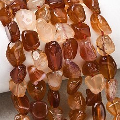 Red Agate Натуральный красный агат бисер нитей, самородки, упавший камень, 8~12.5x7~8.5x4~6.5 мм, отверстие : 0.9 мм, около 23~24 шт / нитка, 8.15''~8.35'' (20.7~21.2 см)