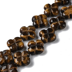 Œil De Tigre Chapelets de perles oeil de tigre naturelles, fleur, 13~14x13~14x5~5.5mm, Trou: 1.2mm, Environ 15 pcs/chapelet, 7.95'' (20.2 cm)