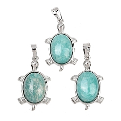 Tortoise Природные подвески амазонит, латунные драгоценные камни, амулеты в виде животных, стойки покрытие, долговечный, платина, черепаховые чары, 34x20x8 мм, отверстие : 8x5 мм