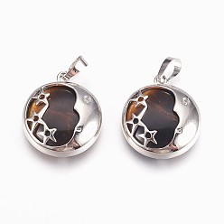Тигровый глаз Природных тигровый глаз подвески, с латунной фурнитурой , плоские круглые со звездой, платина, 27x23x6.5 мм, отверстие : 5x8 мм