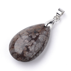 Снежный Обсидиан Кулоны из натурального коричневого обсидиана в виде снежинок, со сплавочной фурнитурой, слеза, платина, 23~24x14x8 мм, отверстие : 4x5 мм