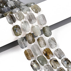 Лабрадорита Природные лабрадорита бисер нитей, прямоугольные, граненые, с бисером, 11.5~12x8x4~5 мм, отверстие : 0.9 мм, около 26~27 шт / нитка, 14.57~15.08'' (37~38.3 см)