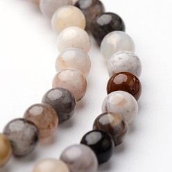 Бамбуковые Листья Агат Круглые бусины из натурального бамбукового листа агата, 4 мм, отверстие : 1 мм, около 93 шт / нитка, 15 дюйм