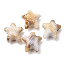 Белый Навахо Непрозрачные акриловые бусины, имитирующие драгоценные камни, морская звезда, навахо белый, 18.5x17.5x10 мм, отверстие : 2.5 мм, Около 416 шт / 500 г